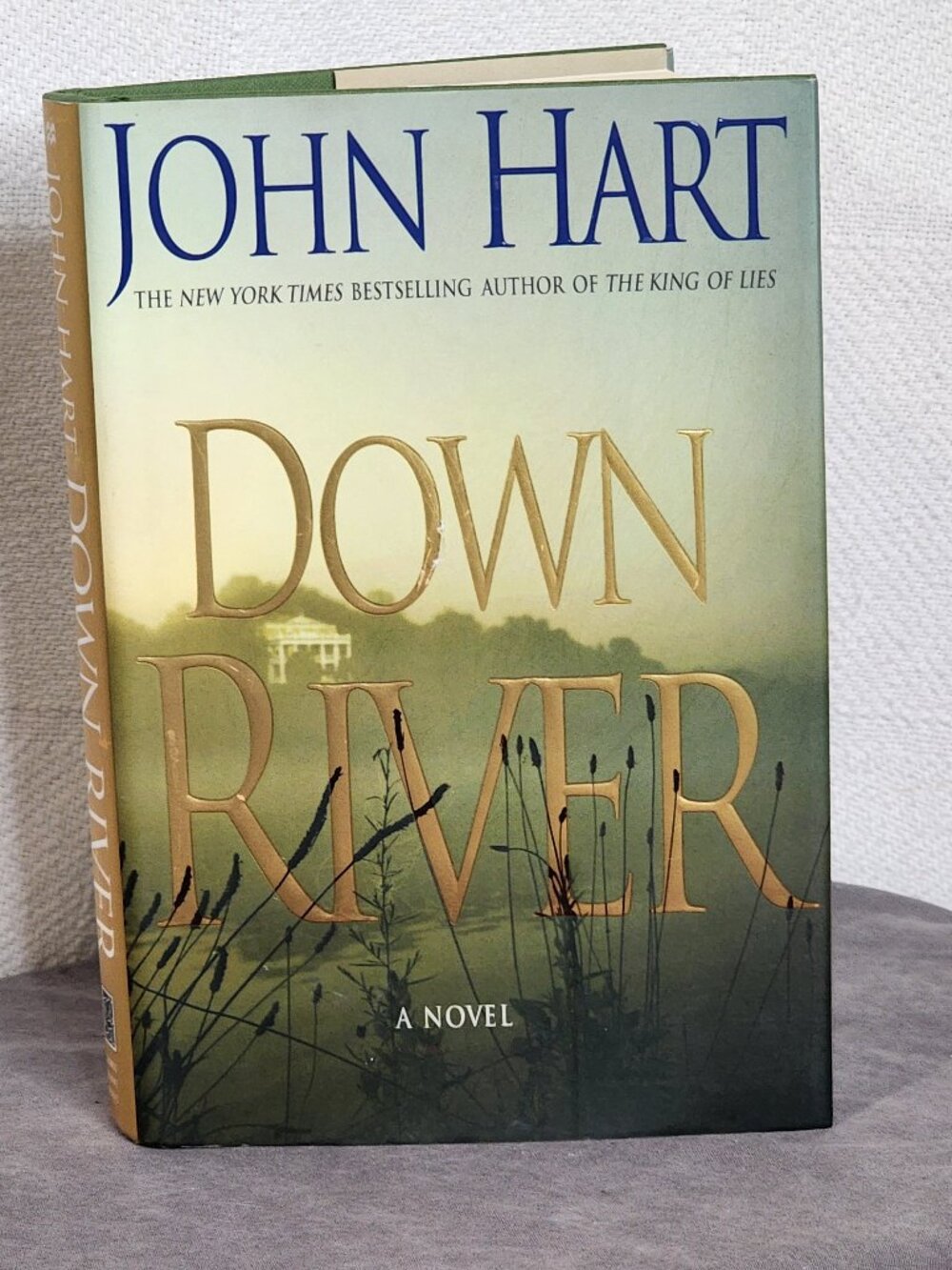 Down River A Novel by New York Times Best Selling Author John Hart Hardback Book